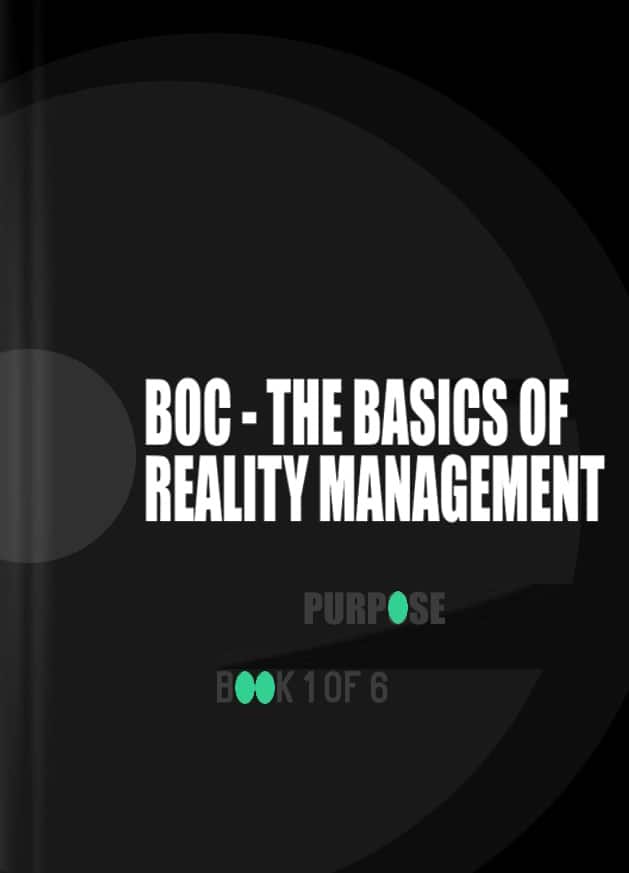 The Basics of Reality Management cover